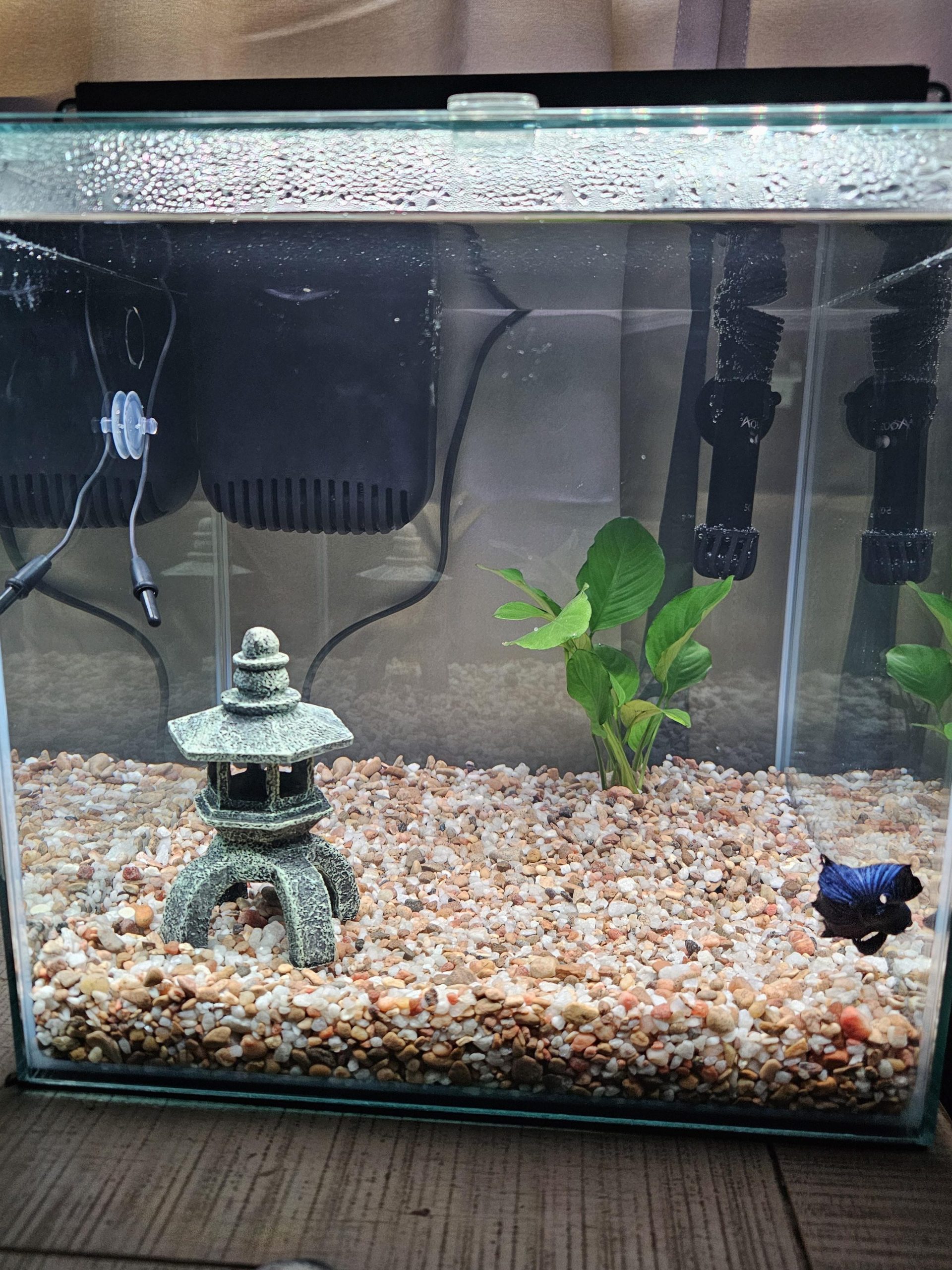 Akuarium Kawan 1 akuarium kawan scaled