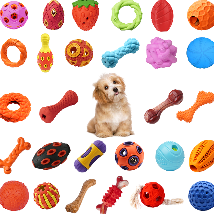 Alibaba Pet Shop 1 alibaba pet shop