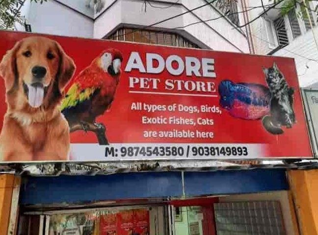 anwar pet shop