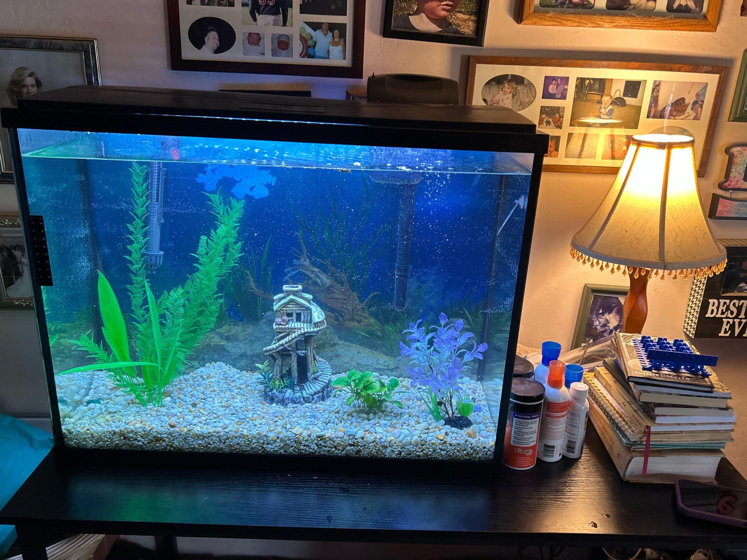 aquarium kawanku scaled