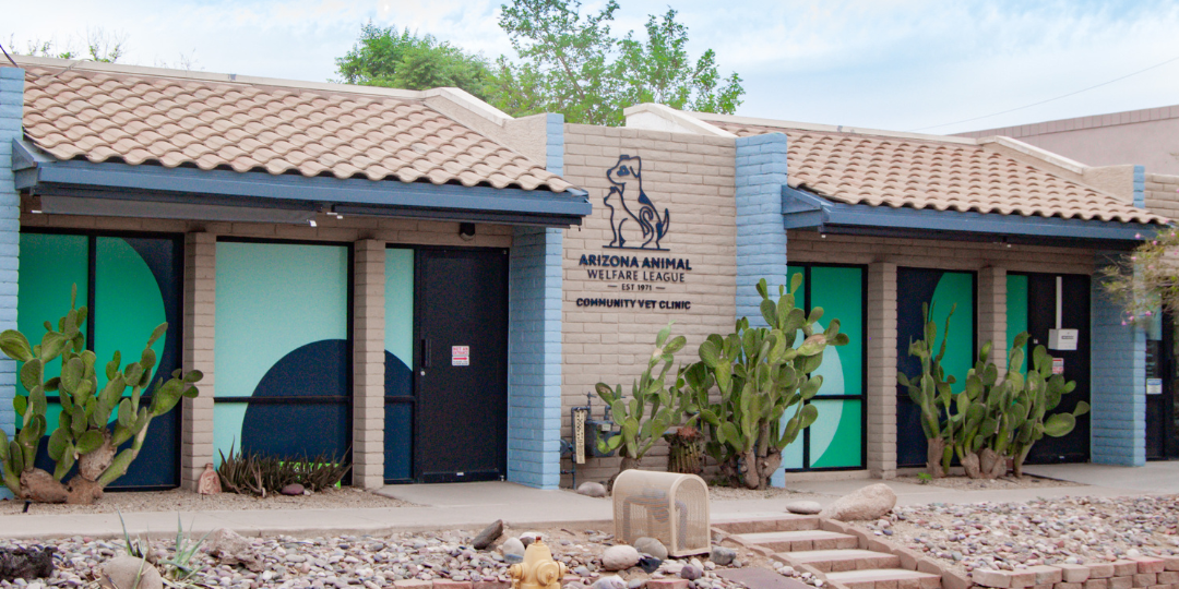AZVELY Pet Centre 1 azvely pet centre