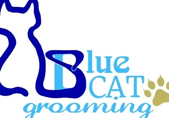 BlueS CaT GrOoMing HomeBase 1 blues cat grooming homebase