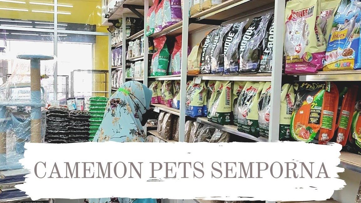 Camemon Pets Semporna 1 camemon pets semporna
