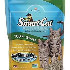 cat 99 Smart Pandan 1 cat 99 smart pandan