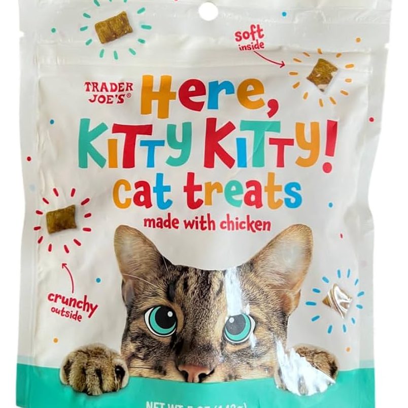 Cat & Cat Trader 1 cat cat trader