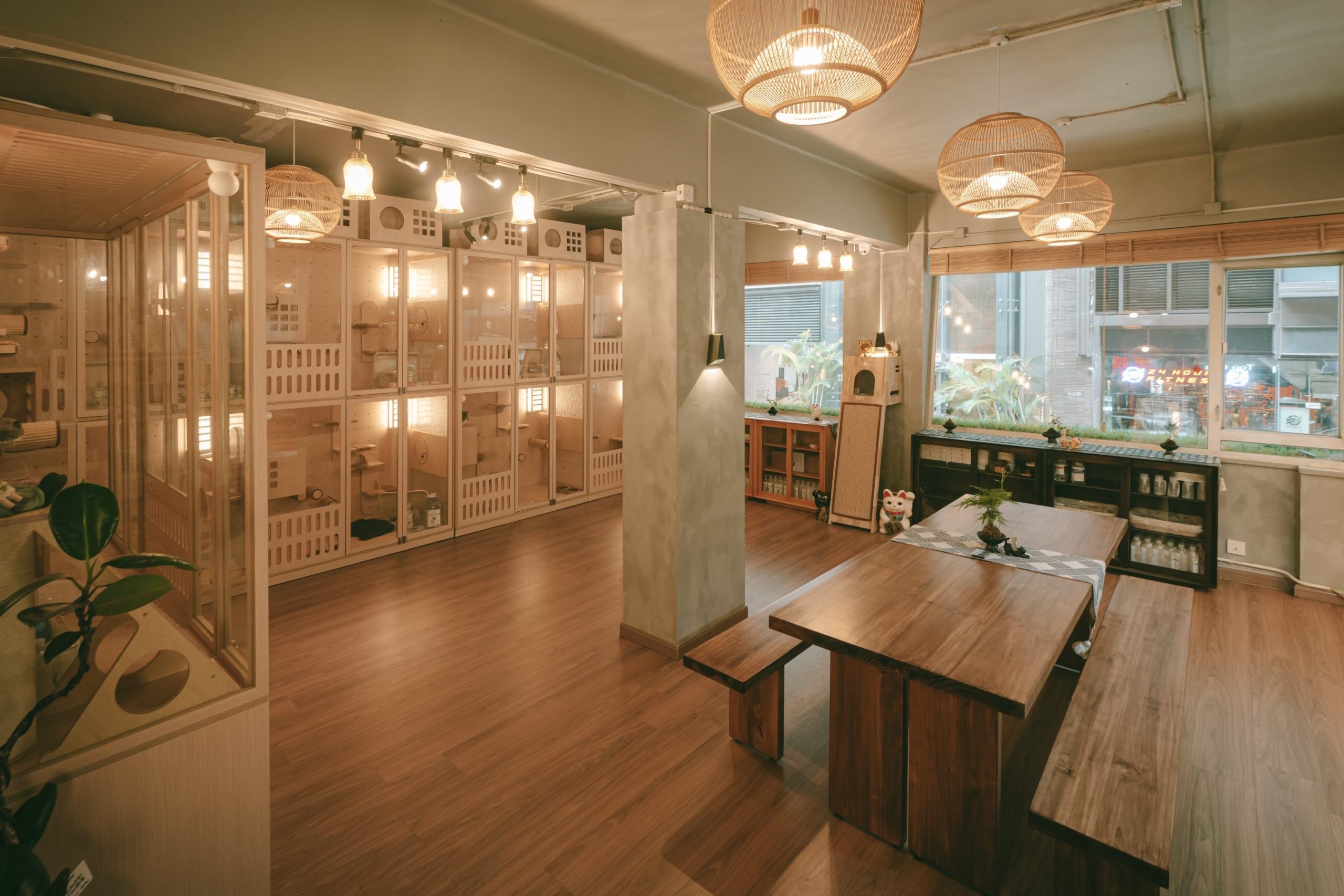 Cat planet hotel 1 cat planet hotel scaled