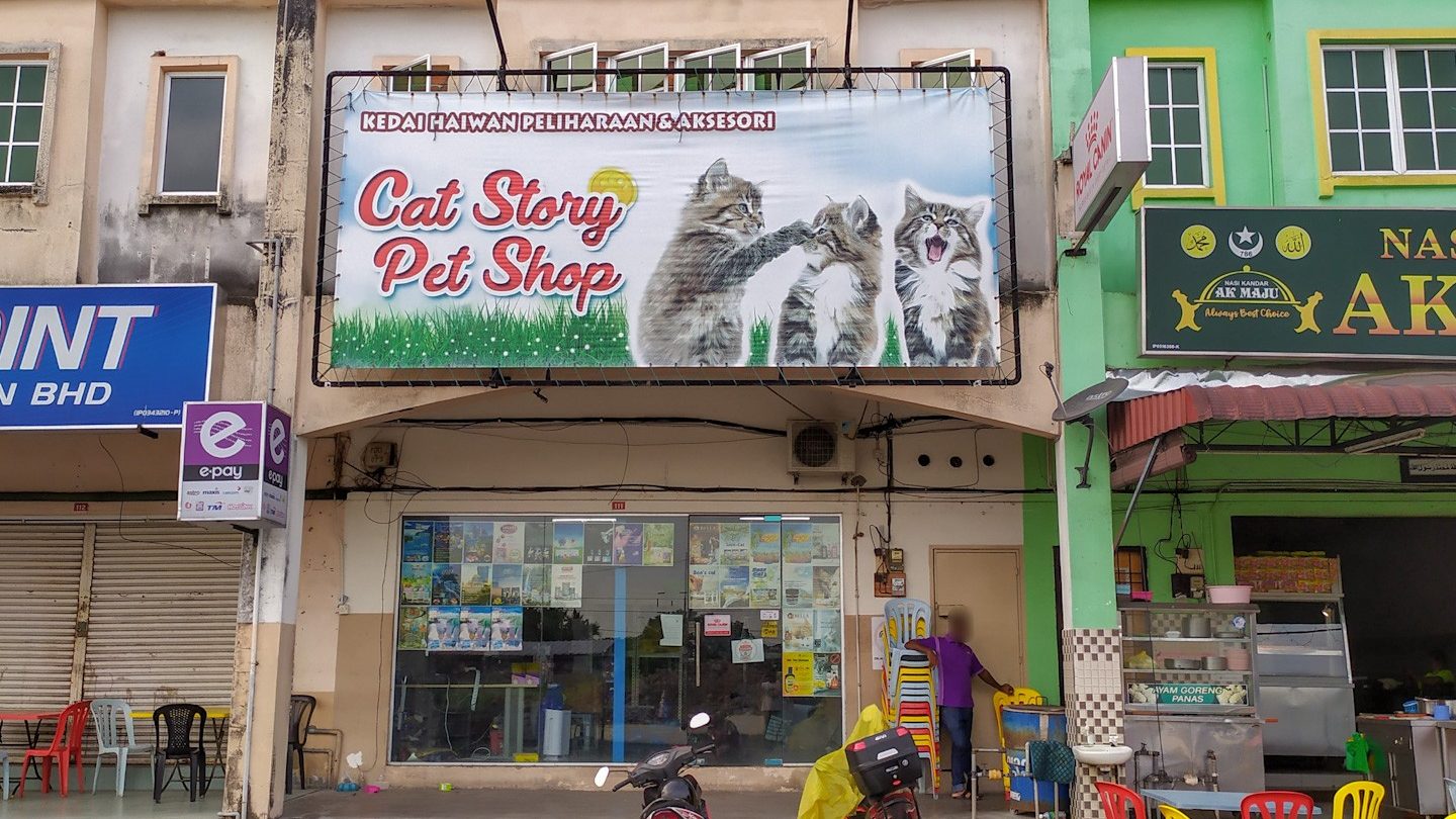 cat story pet shop