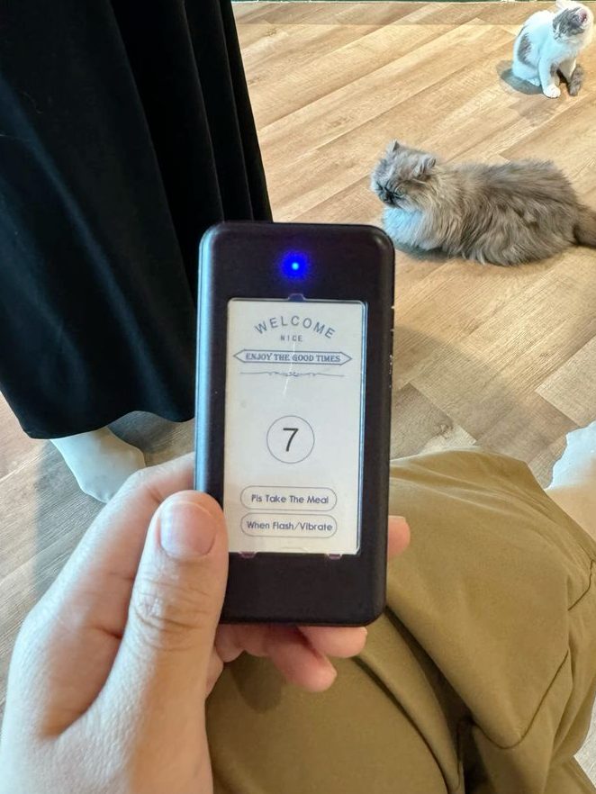 Cat Times Aeropod 1 cat times aeropod