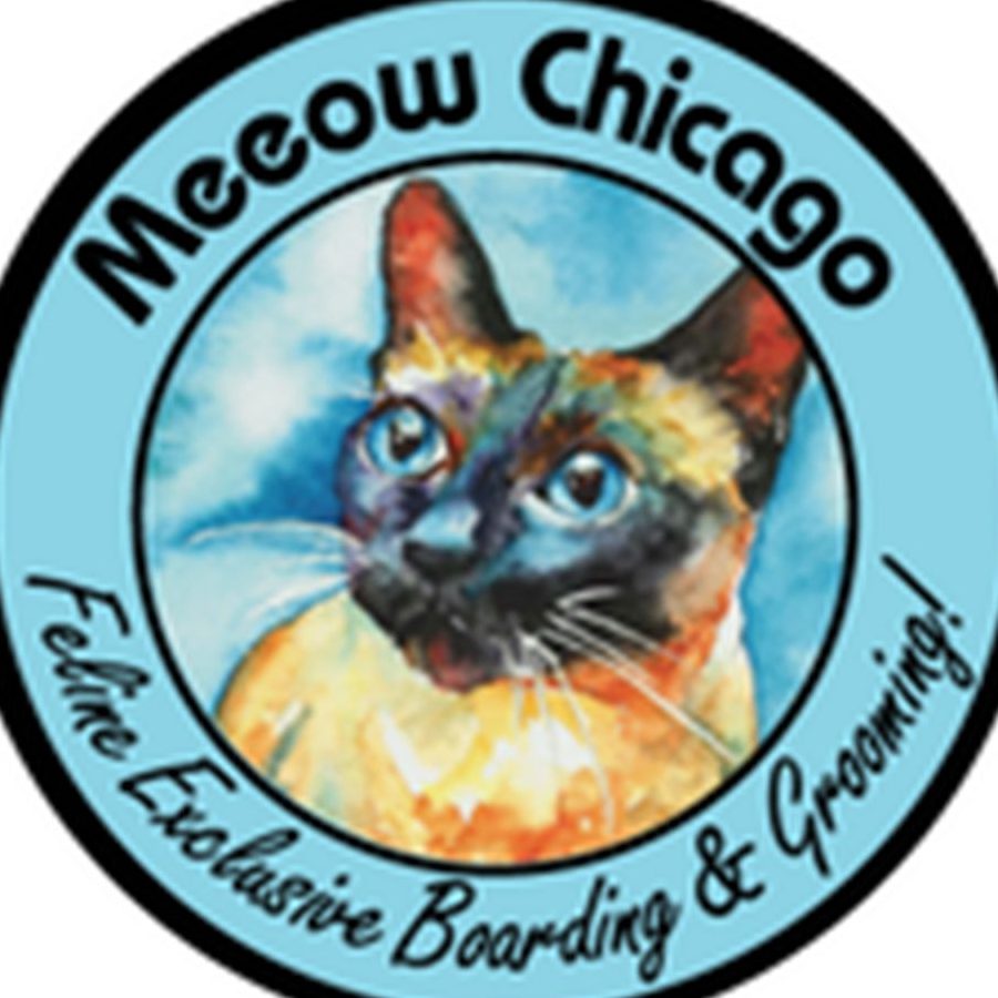 Cats Box Petshop, Boarding & Grooming 1 cats box petshop boarding grooming