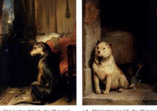 Century Pets 1 century pets