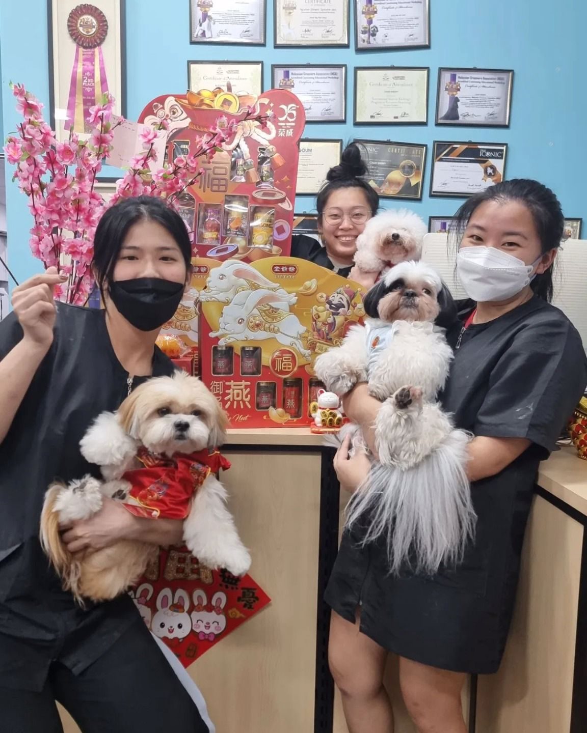 Chong Ba Pet House 1 chong ba pet house