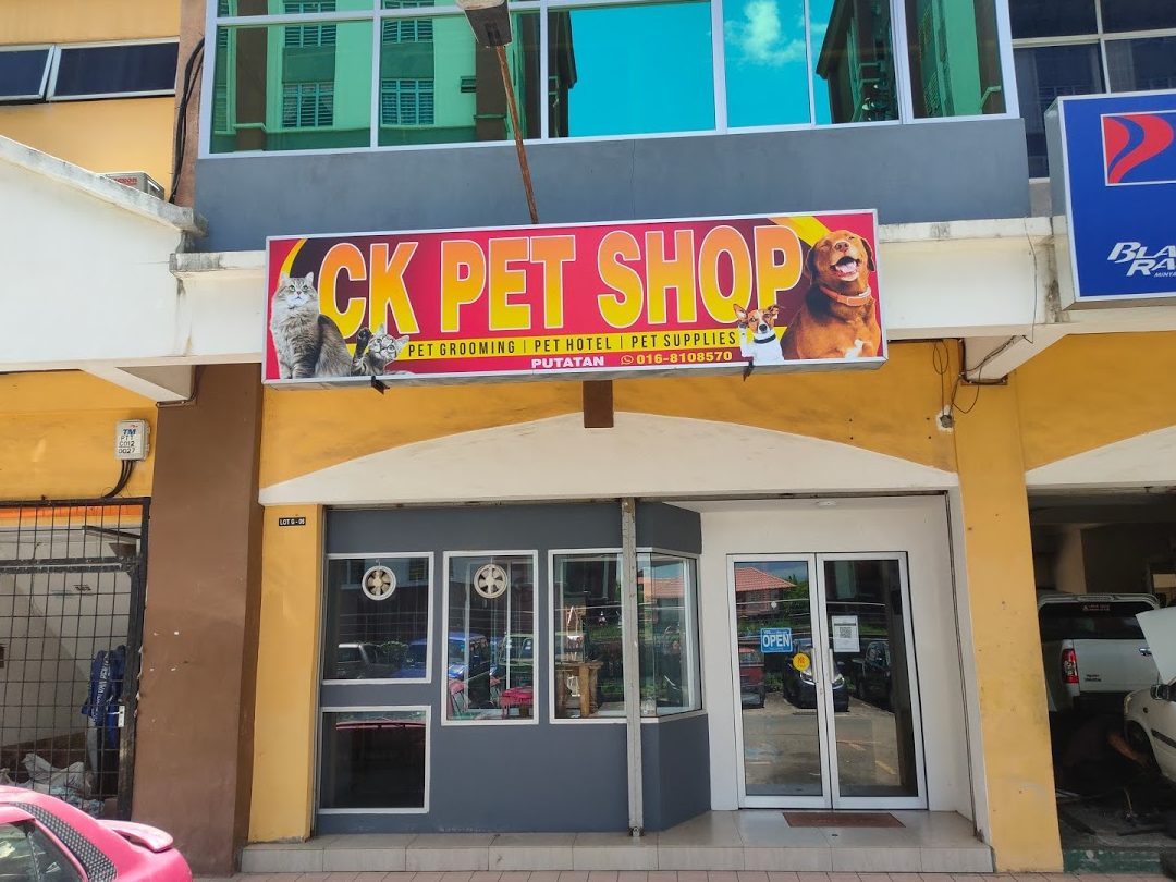 CK Pet Shop (Putatan) 1 ck pet shop putatan