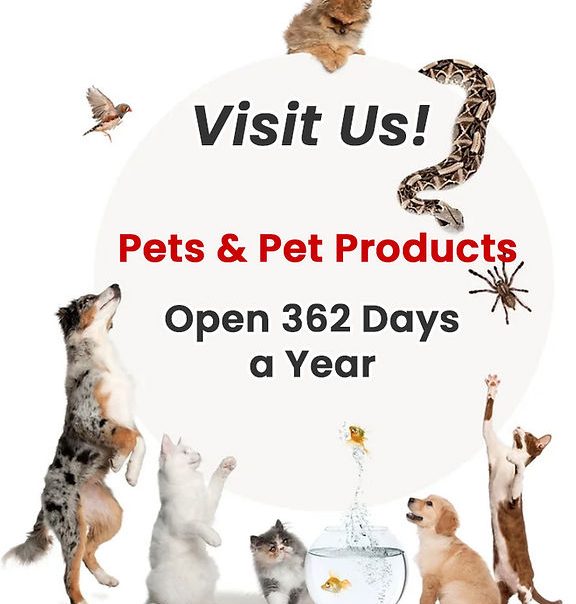 CT Pets Supplies 1 ct pets supplies