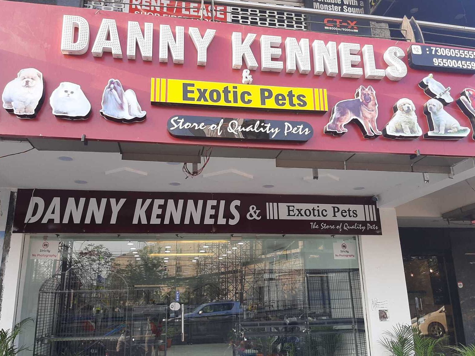 Danny Pets Shop 1 danny pets shop