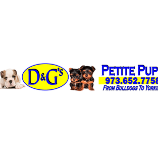 dg pet shop