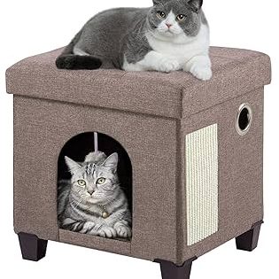 dhiraz cat house