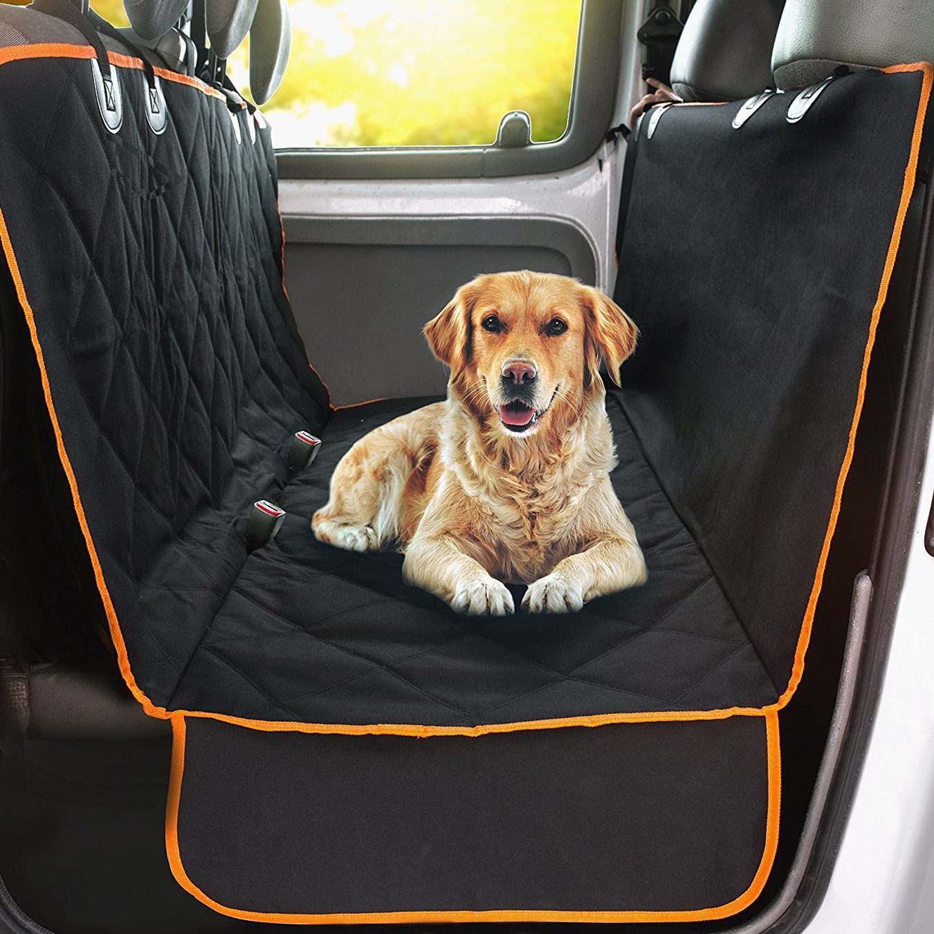 doggie world pet shop