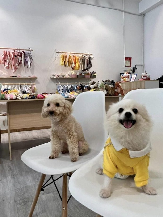 dou dou pet shop