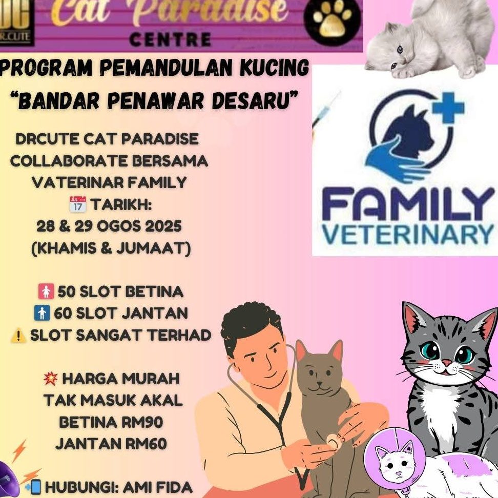 DR.CUTE CAT PARADISE CENTRE 1 dr cute cat paradise centre