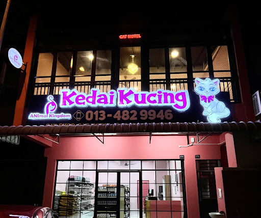 Kedai Kucing Animal Kingdom Kedai Kucing Animal Kingdom