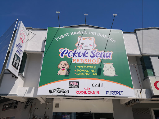 Pokok Sena Pet Shop