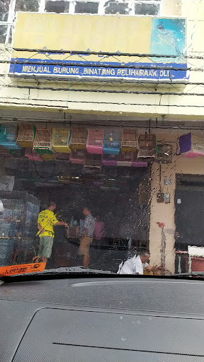 Kedai Burung Shin Pet Shop