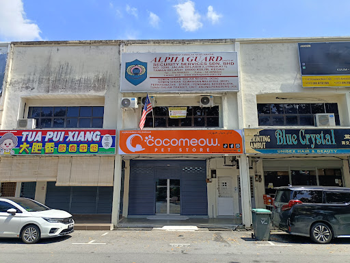 cocomeow pet store