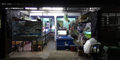 GK 115 PET CENTRE