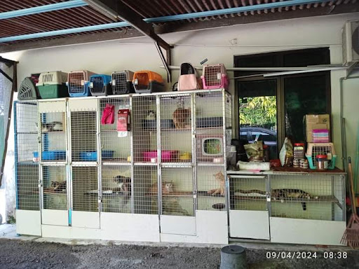 Tata Cat Hotel & Cat Visit Service