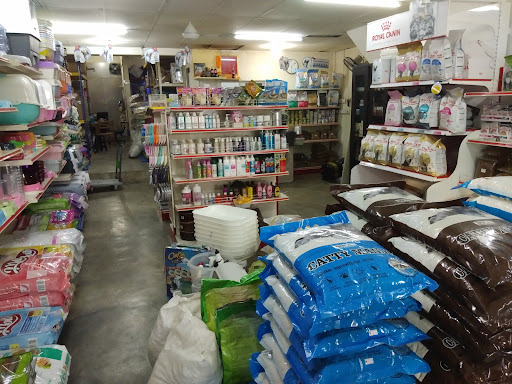 FiFi Pet Shop
