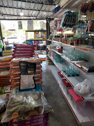 Husna Petshop ( kubang batang) Husna Petshop ( kubang batang)