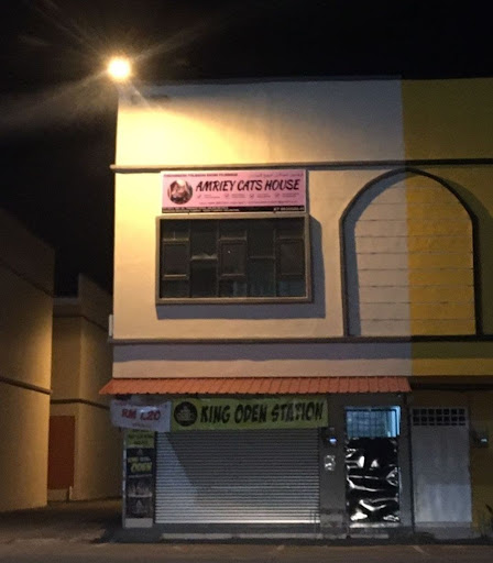 AMRIEY CATS HOUSE AMRIEY CATS HOUSE