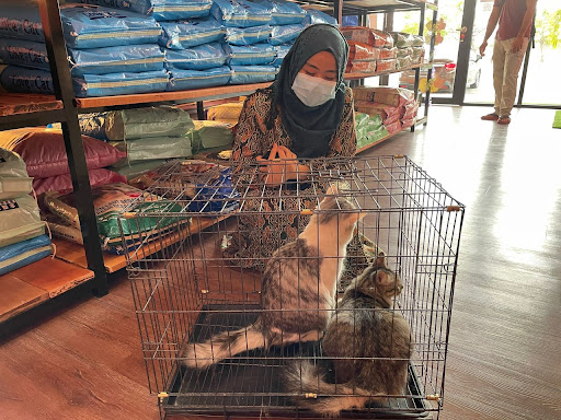 Kedai Kucing Klebang(Catdotcom)