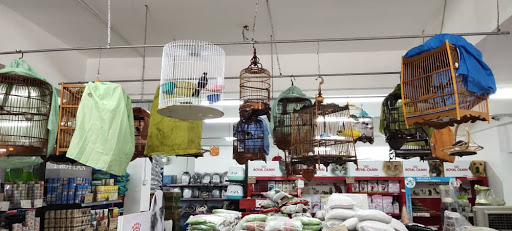My Cats & Pets Centre My Cats & Pets Centre