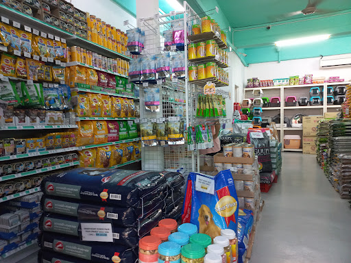 Big Cat Centre Wholesale and Cash & Carry PLT Big Cat Centre Wholesale and Cash & Carry PLT