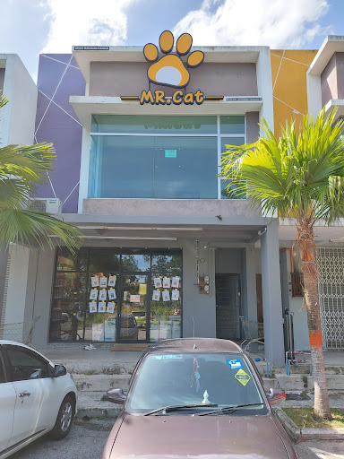 Mr Cat Enterprise