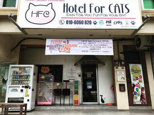 Zoola Ayer Keroh & Hotel For Cats Zoola Ayer Keroh & Hotel For Cats