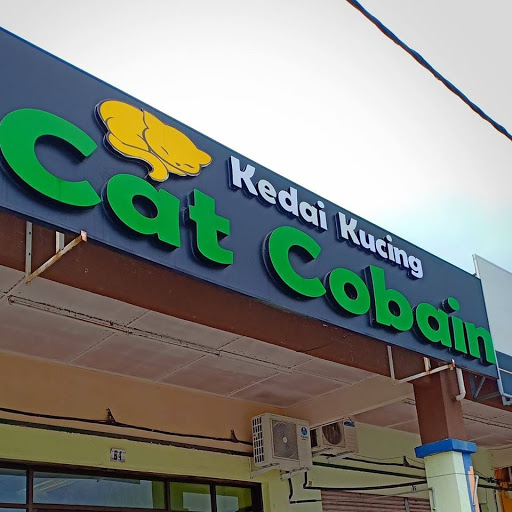Kedai Kucing Cat Cobain Kedai Kucing Cat Cobain
