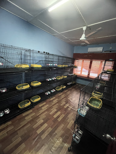 Cat Paradise Hotel & Cafe Cat Paradise Hotel & Cafe
