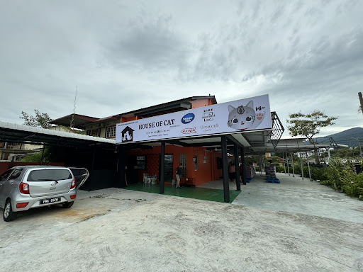 House Of Cat Tanjung Bungah