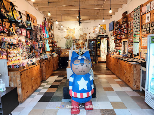 Cat Shop Cat Shop