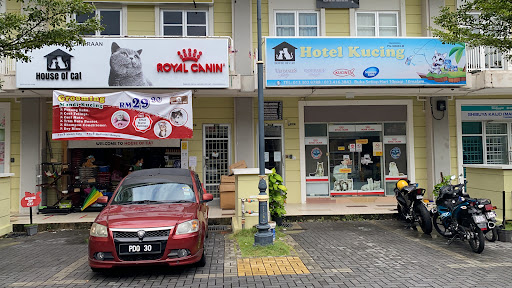 House of Cat House of Cat