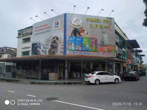 Pusat Binatang Kesayangan Comel Pusat Binatang Kesayangan Comel