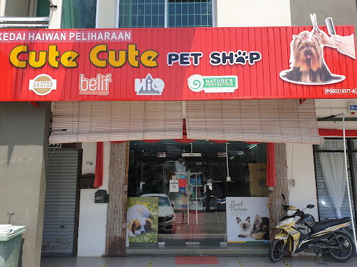 Cute Cute Pet Shop Cute Cute Pet Shop