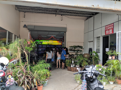 KW Aquatic Supplies