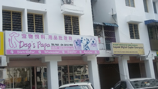 Dog's Papa Dog's Papa
