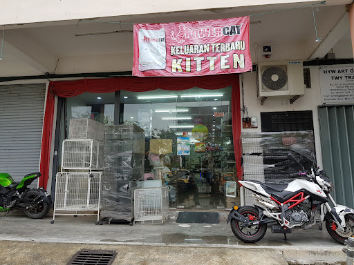 E Pet Store E Pet Store