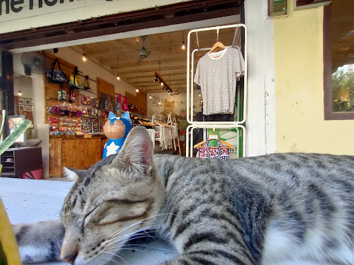 The Heritage Cat
