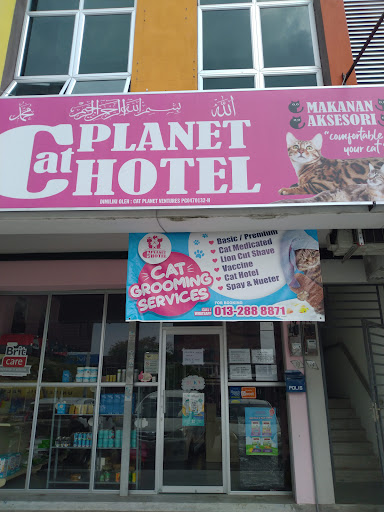 Cat planet hotel