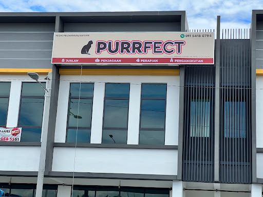 Purrfect Luxury Cat Hotel